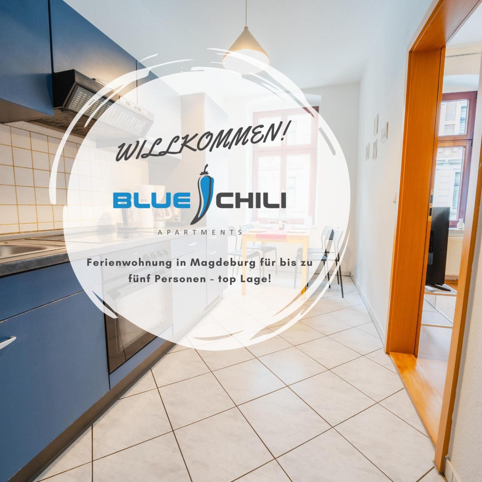 Blue Chili 08 - Magdeburg 2-Zimmer Altbau, Wi-Fi, 5 Pax ภายนอก รูปภาพ